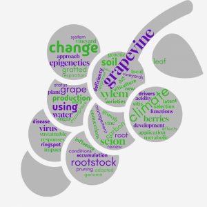 Nuage de mots 2025